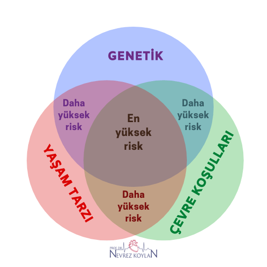 Genetik yaşam tarzı ve çevre koşulları etkileşimi