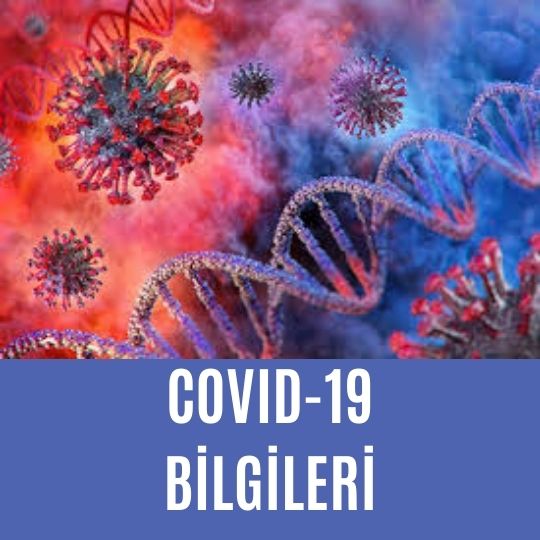 Covid-19 bilgileri