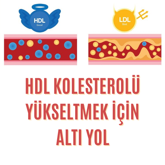 HDL kolesterolü yükseltmek için altı yol