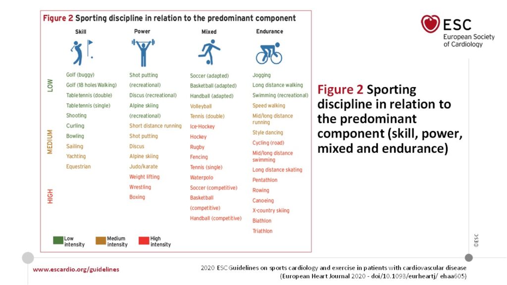 Sporların çeşitli özelliklerine göre sınıflandırılması