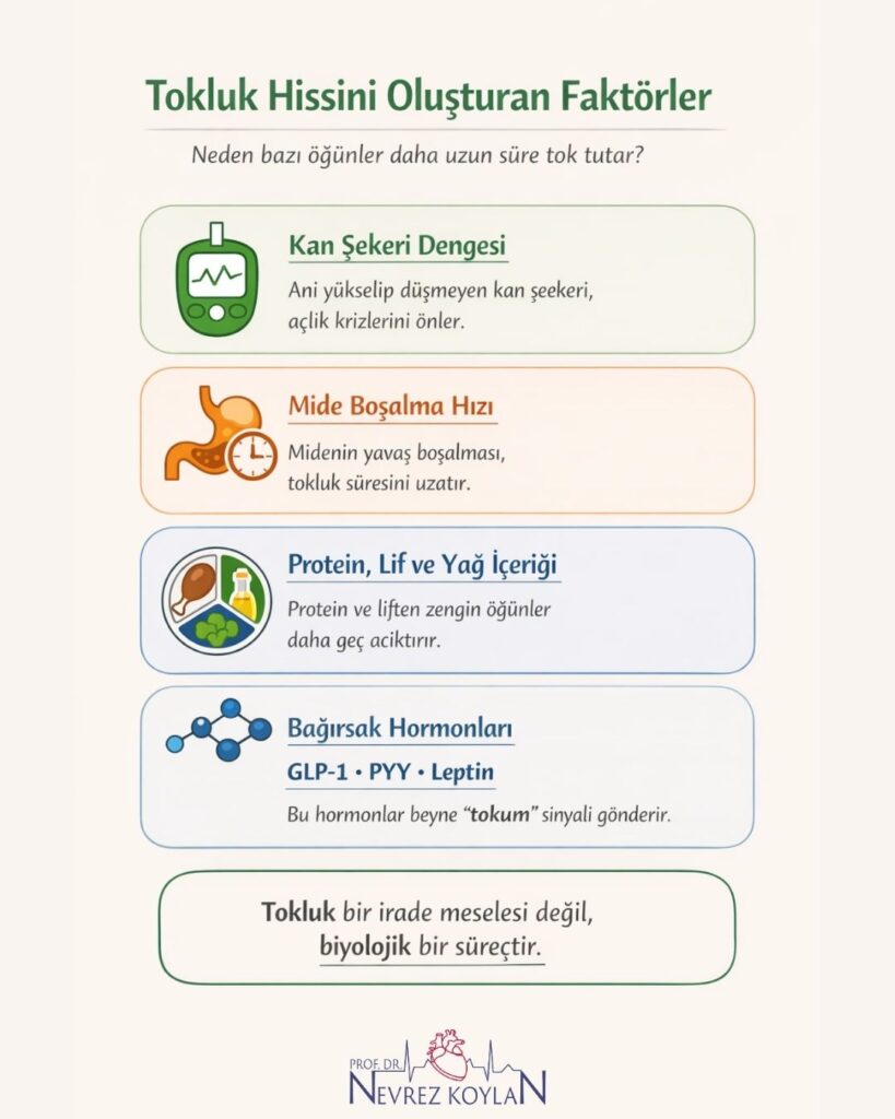 Tokluk hissini oluşturan faktörler