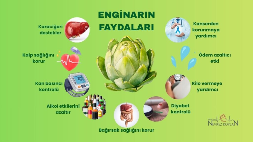 Enginarın bilinen faydaları