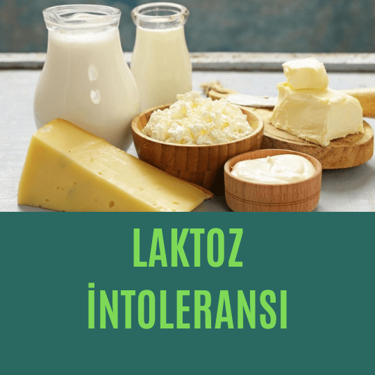 Laktoz intoleransı
