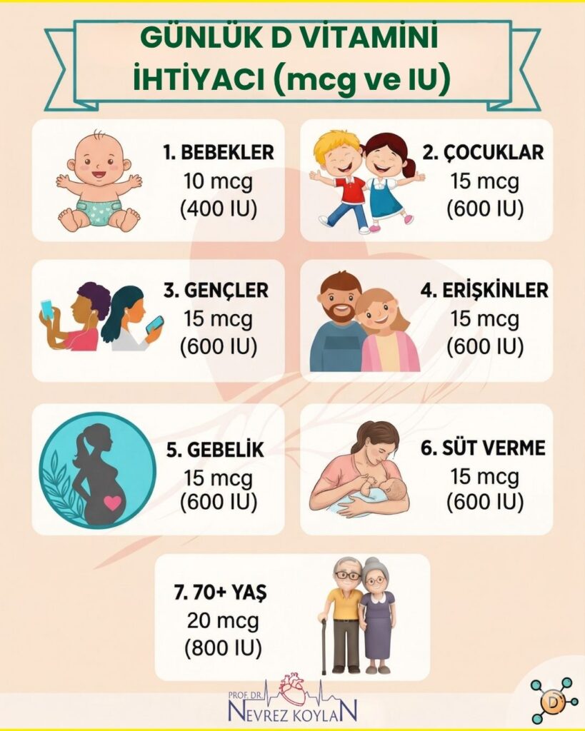 Günlük D vitamini ihtiyacı konulu infografik