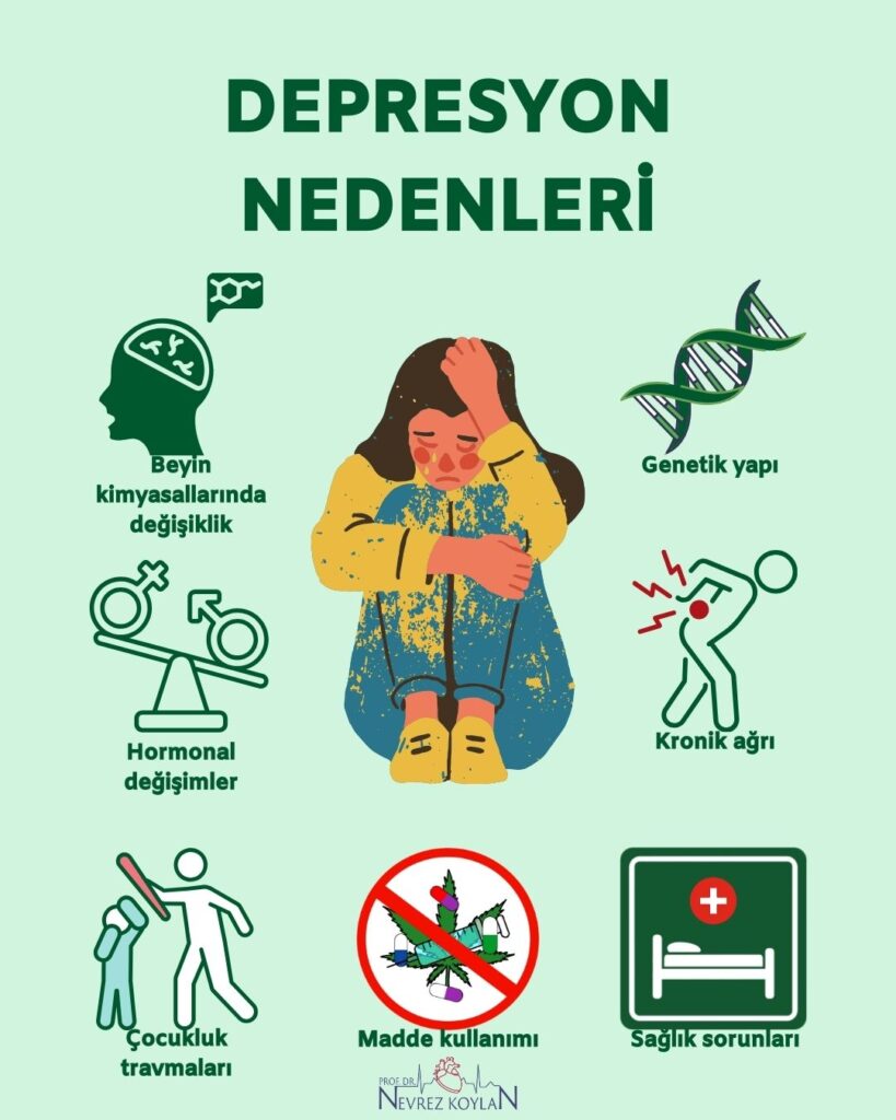 Depresyon nedenleri konusunda Nevrez Koylan blog yazısındaki resim