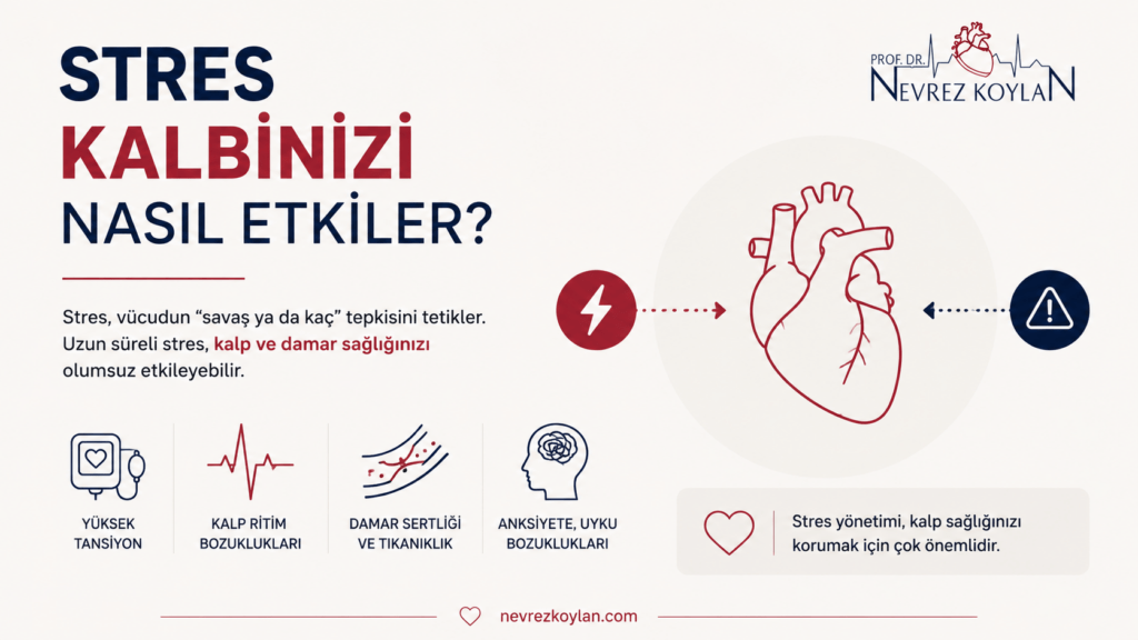 Stresin kalp sağlığı üzerindeki etkilerini gösteren minimalist infografik; yüksek tansiyon, ritim bozukluğu, damar sertliği ve anksiyete risklerini özetleyen görsel.