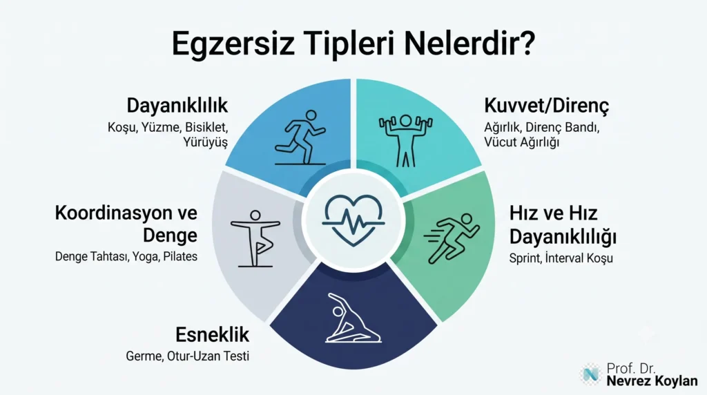 Dayanıklılık, kuvvet, hız, esneklik ve denge egzersiz tiplerini gösteren dairesel sağlık infografiği - Prof. Dr. Nevrez Koylan