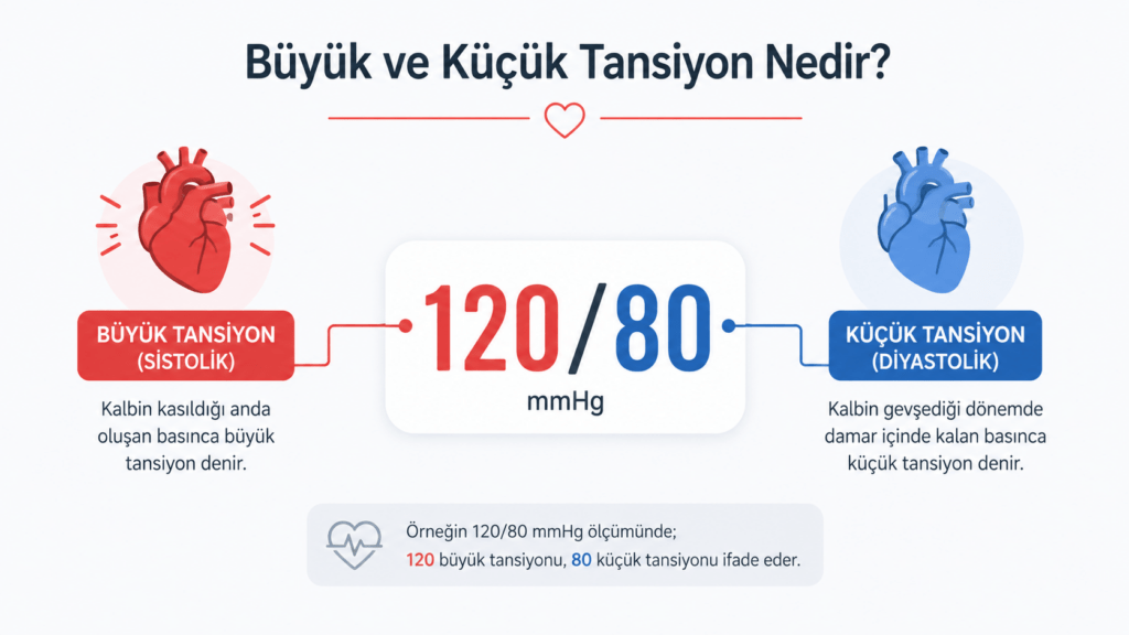 Büyük ve küçük tansiyonun ne olduğunu açıklayan infografik. Sistolik (büyük) ve diyastolik (küçük) tansiyon değerlerinin 120/80 mmHg örneği üzerinden anlatıldığı, hipertansiyon ve kan basıncı ölçümü hakkında bilgilendirici sağlık görseli.
