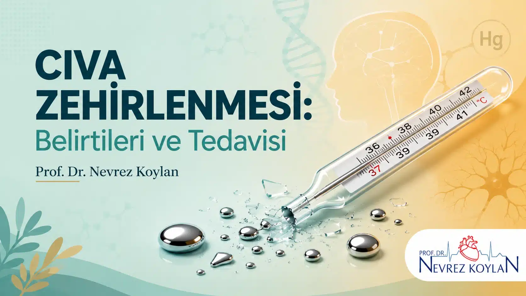 Cıva zehirlenmesi belirtileri ve tedavisi