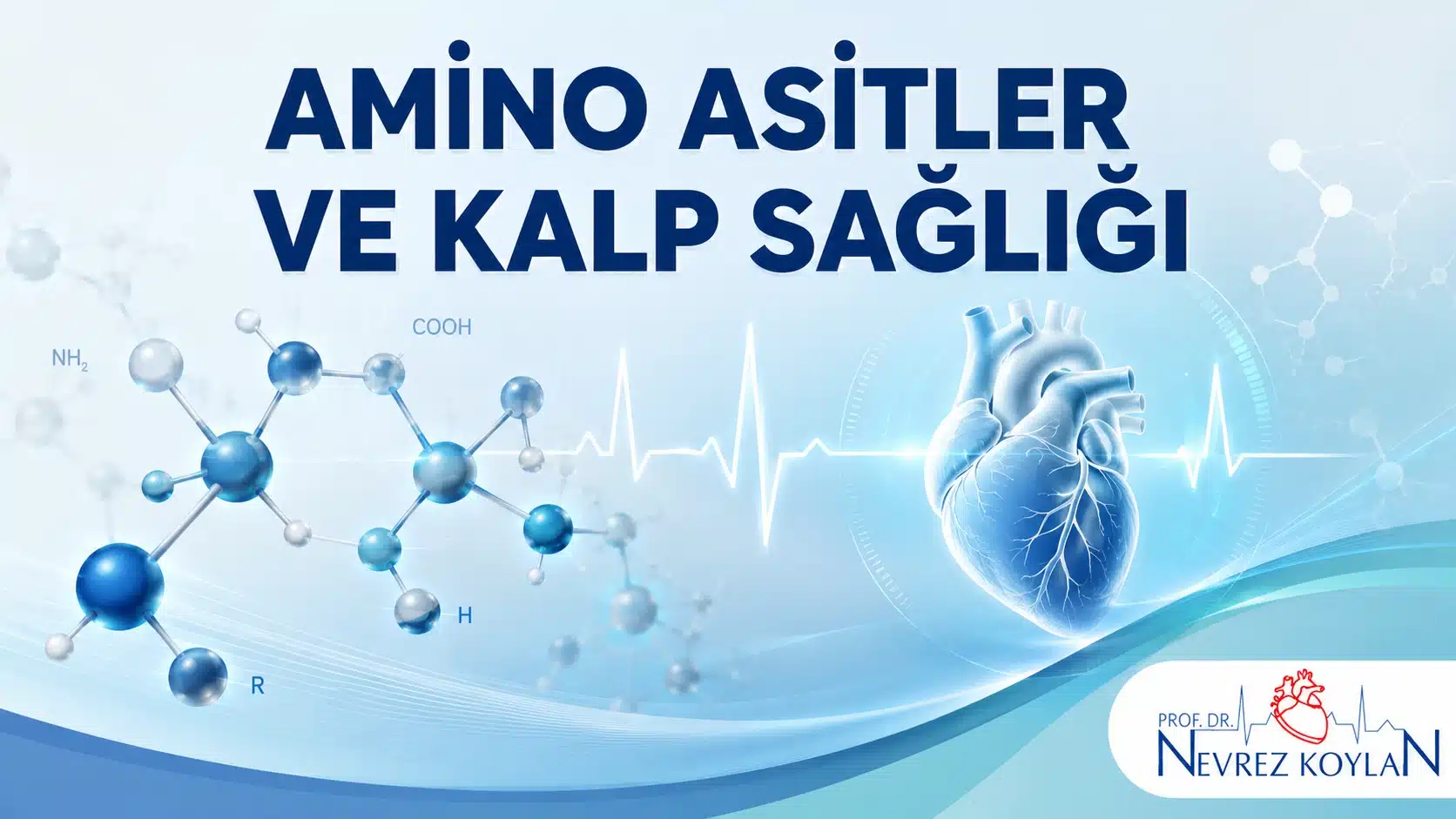 Amino asitler ve kalp sağlığını gösteren tıbbi illüstrasyon