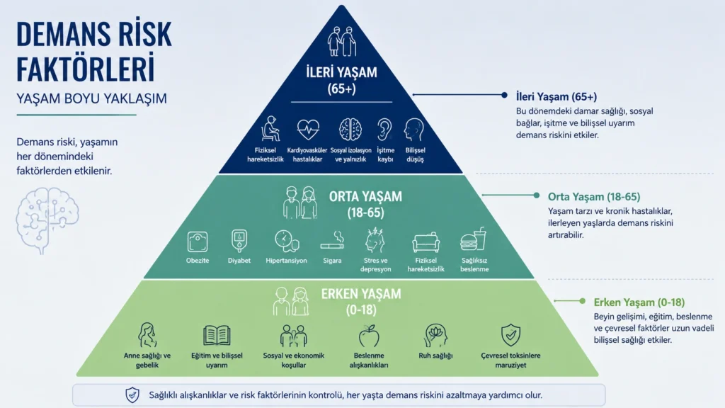 Erken, orta ve ileri yaşam dönemlerinde demans riskini etkileyen yaşam tarzı ve sağlık faktörlerini gösteren piramit infografik