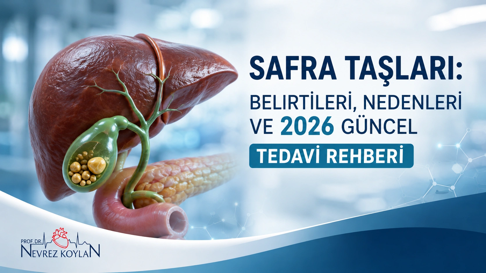 Safra taşlarının belirtileri, nedenleri ve tedavisini anlatan karaciğer ve safra kesesi anatomisi içeren tıbbi kapak görseli
