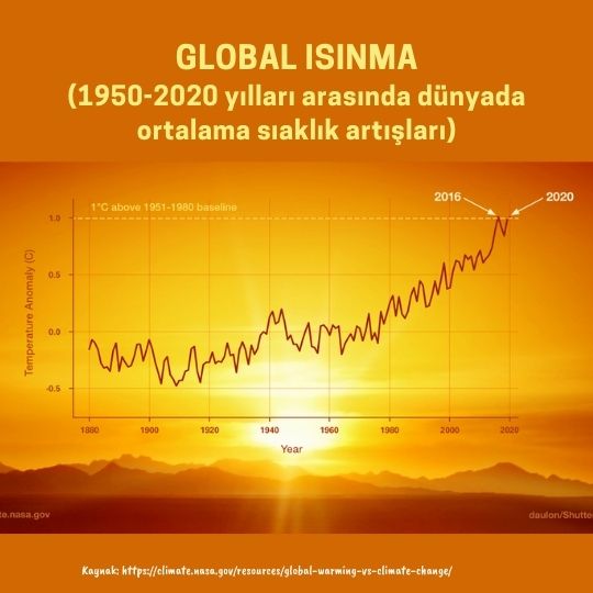 Global sıcaklık artışı