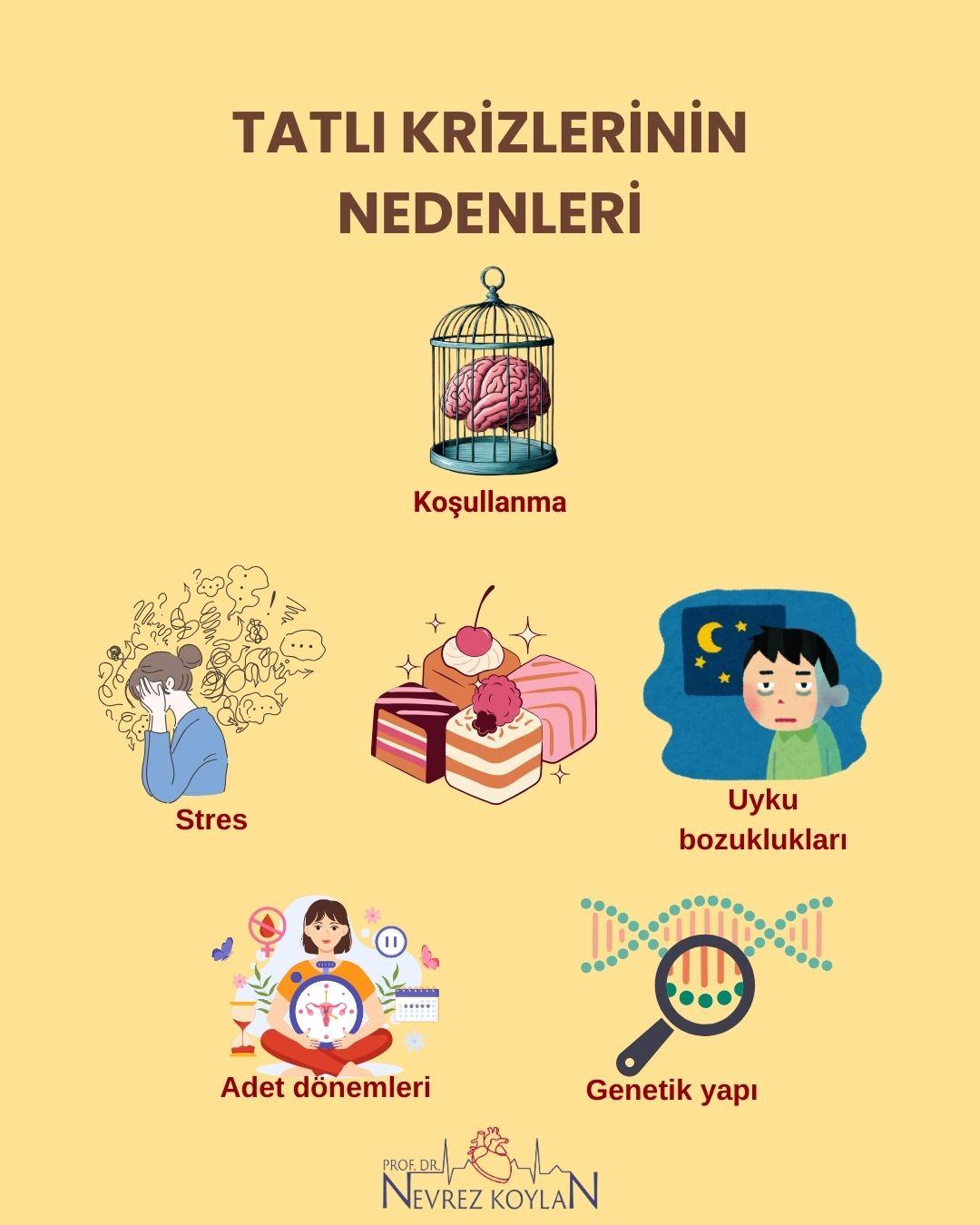 Tatlı krizlerinin nedenleri