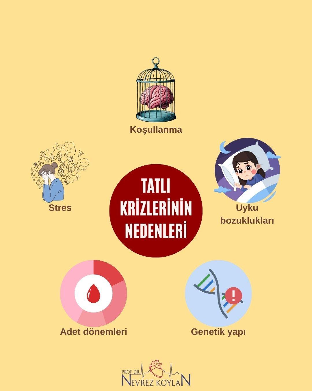 Tatlı krizlerinin nedenleri