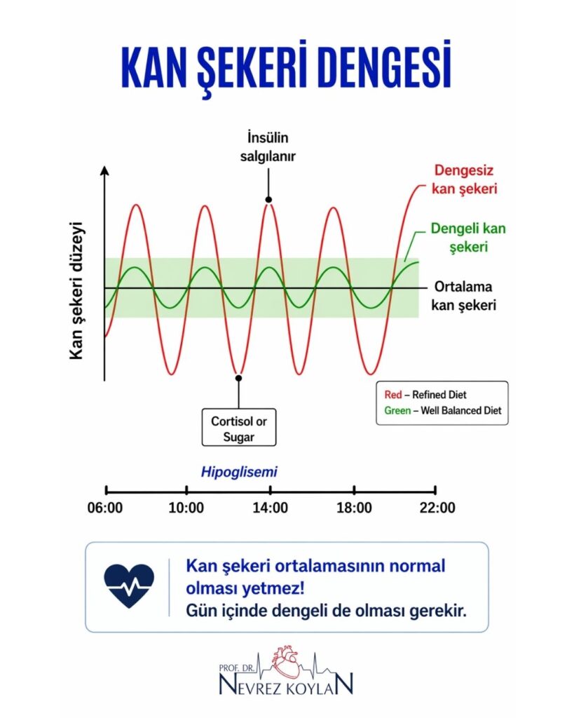 Kan şekeri dengesini gösteren 4:5 infografik; gün boyunca kan şekeri seviyelerinin zamanla değişimini gösteren grafikte, kırmızı eğri dengesiz dalgalanmaları, yeşil eğri dengeli seyri temsil ederken ortalama değer alanı vurgulanmakta ve stabil kan şekeri kontrolünün önemi anlatılmaktadır.