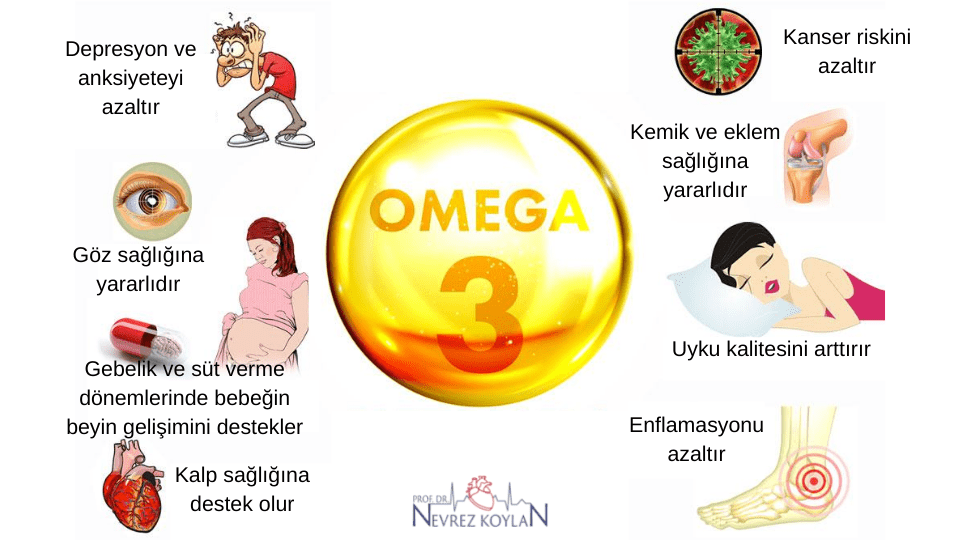 Başlıca omega 3 yararları