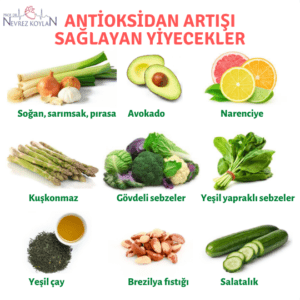Yiyeceklerde antioksidanlar