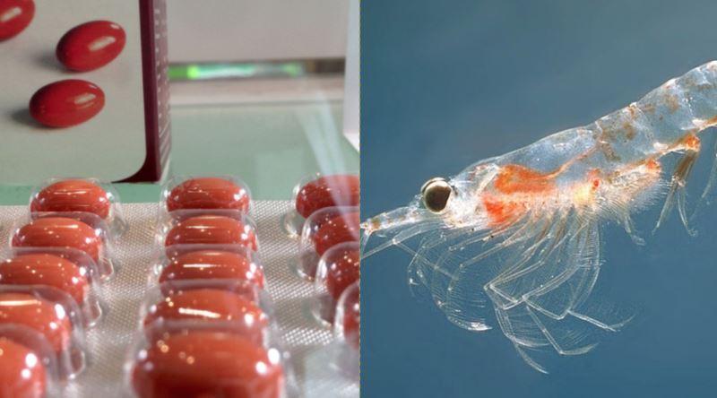 Omega 3 destekleri arasında krill yağı da bulunur