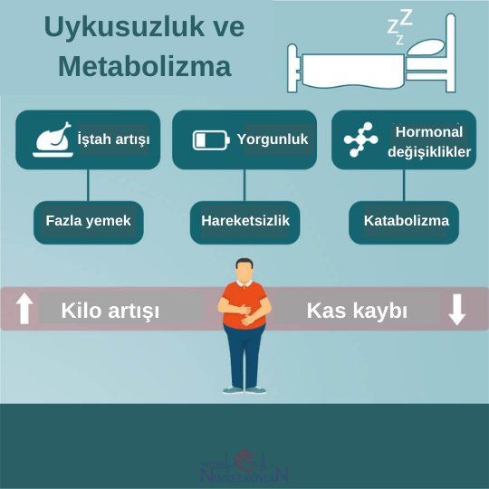 Uykusuzluk ve metabolizma