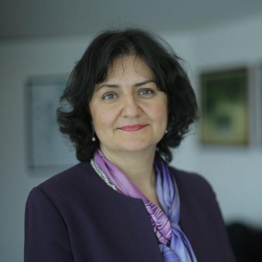 Yazar: <br>Prof. Dr. Meral Kayıkçıoğlu