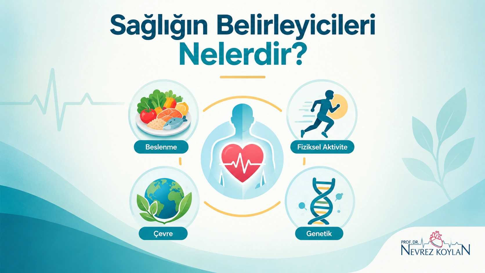 Sağlığın belirleyicilerini beslenme, fiziksel aktivite, çevre ve genetik faktörleriyle birlikte kalp ve insan figürü etrafında gösteren tıbbi infografik