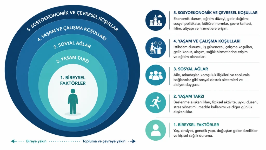 Sağlığın bireysel faktörlerden yaşam tarzı, sosyal ağlar ve yaşam koşullarına, sosyoekonomik ve çevresel koşullara kadar uzanan katmanlarını gösteren konsantrik halka modeli infografiği