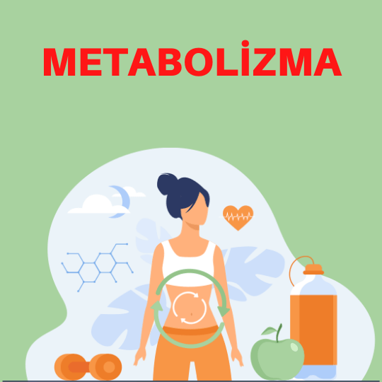 Metabolzma