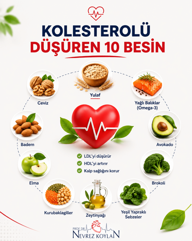 LDL kolesterolü düşürmeye yardımcı yulaf, zeytinyağı, omega-3 içeren balıklar, avokado ve sebzeleri gösteren kalp dostu beslenme infografiği.