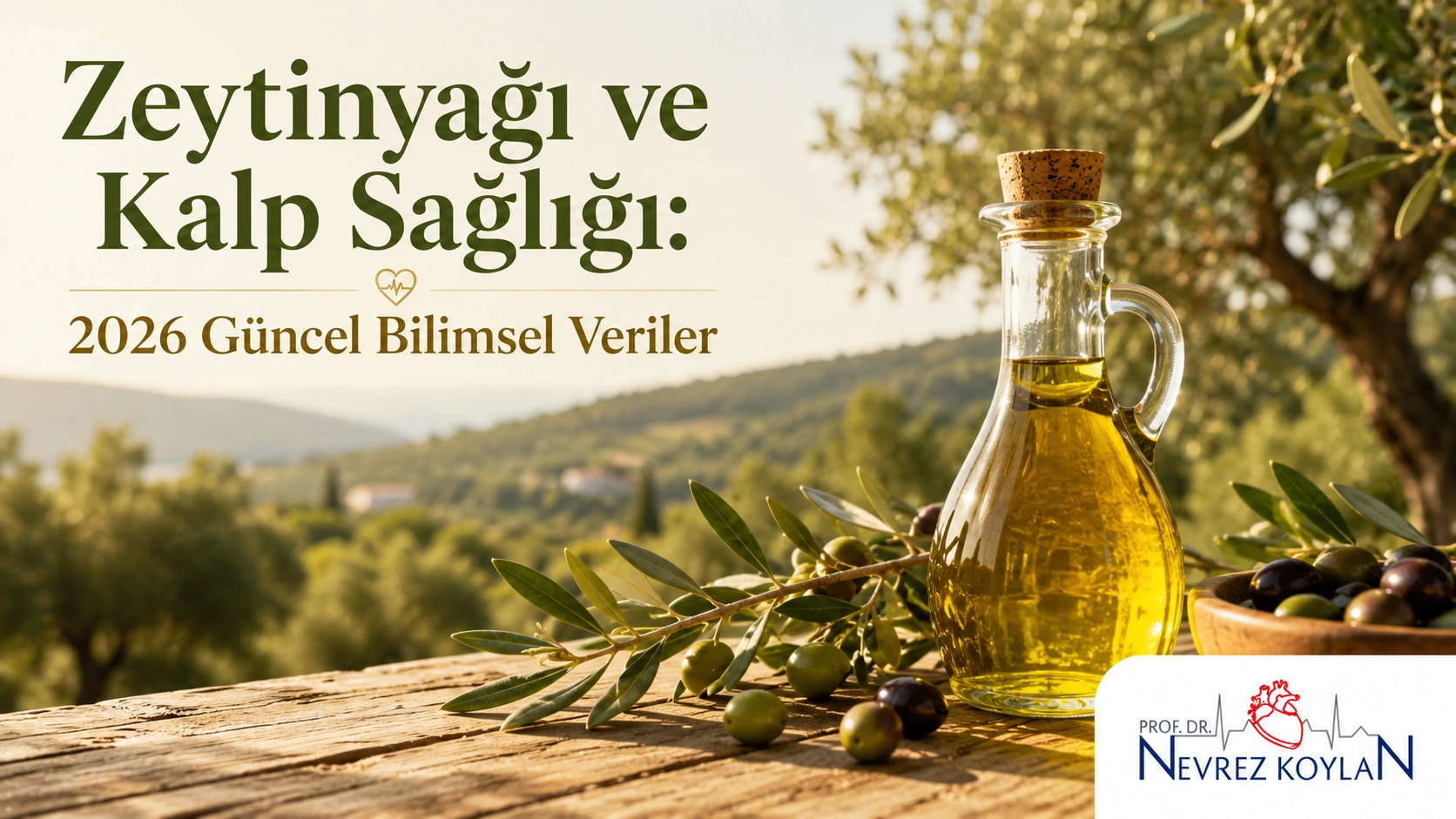Zeytinyağı ve kalp sağlığı ilişkisini gösteren kapak görseli, Prof. Dr. Nevrez Koylan