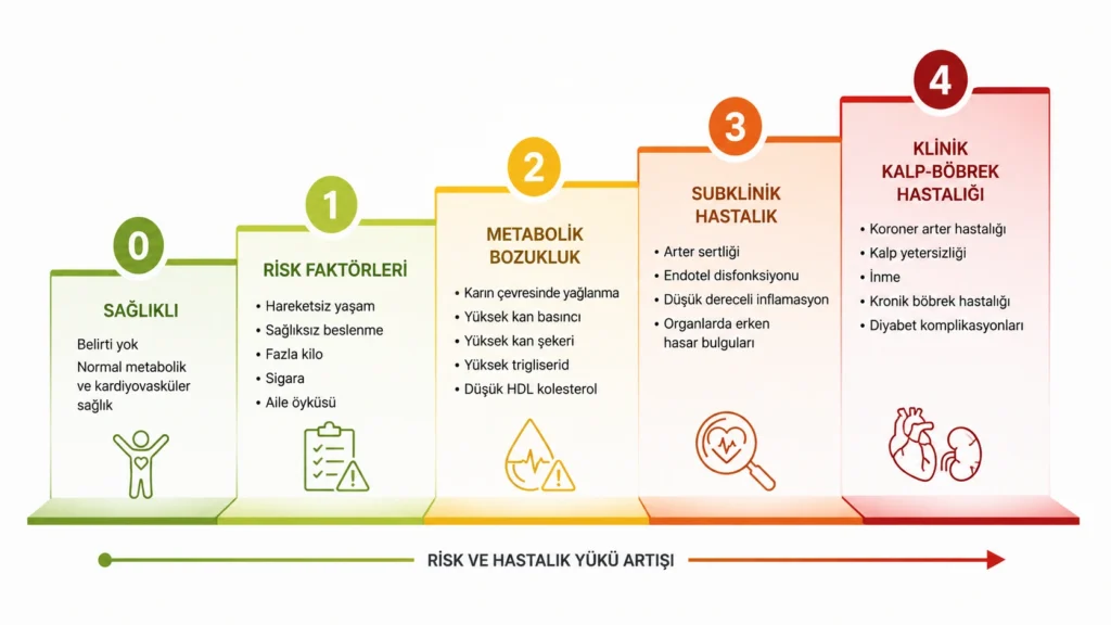 Kardiyovasküler-böbrek-metabolik CKM sendrom evre 0'dan evre 4'e şeması