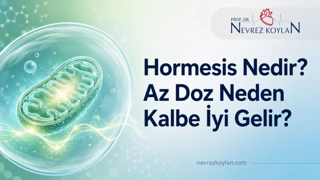 Hormesis nedir sorusunu görselleştiren, mitokondri ve stres dalgası temalı kapak görseli