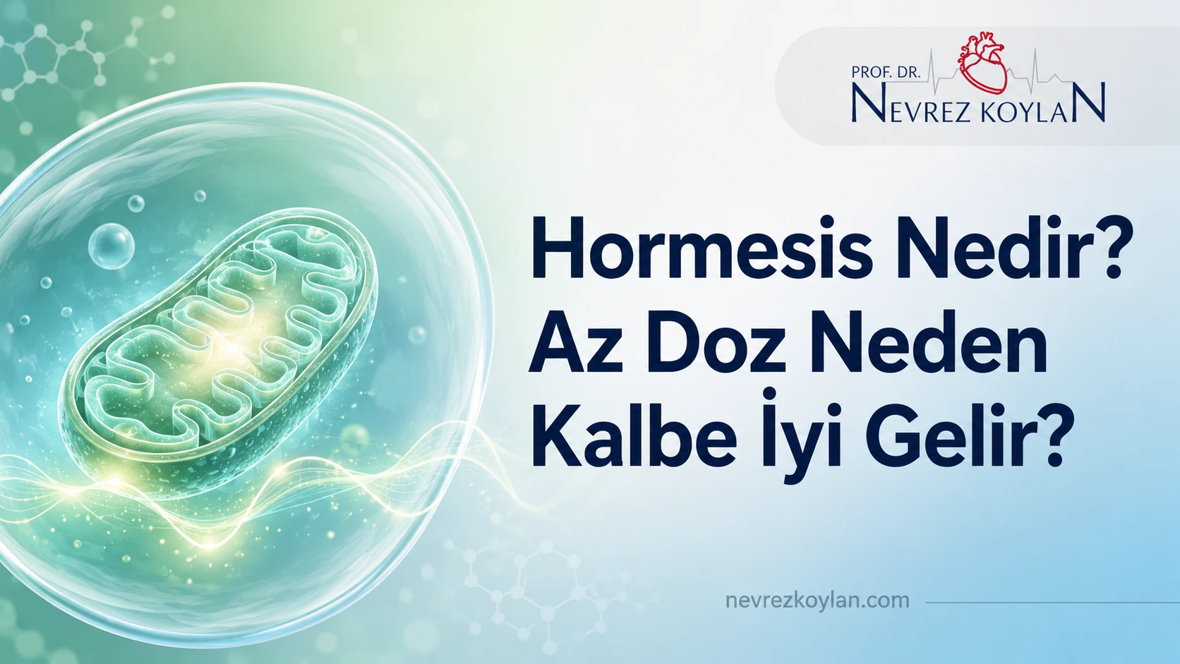 Hormesis nedir sorusunu görselleştiren, mitokondri ve stres dalgası temalı kapak görseli
