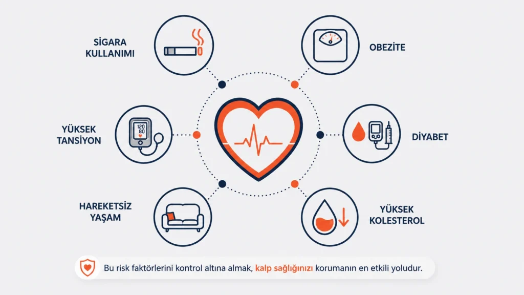 Kalp hastalığı ve sertleşme sorununun paylaştığı ortak risk faktörleri infografiği