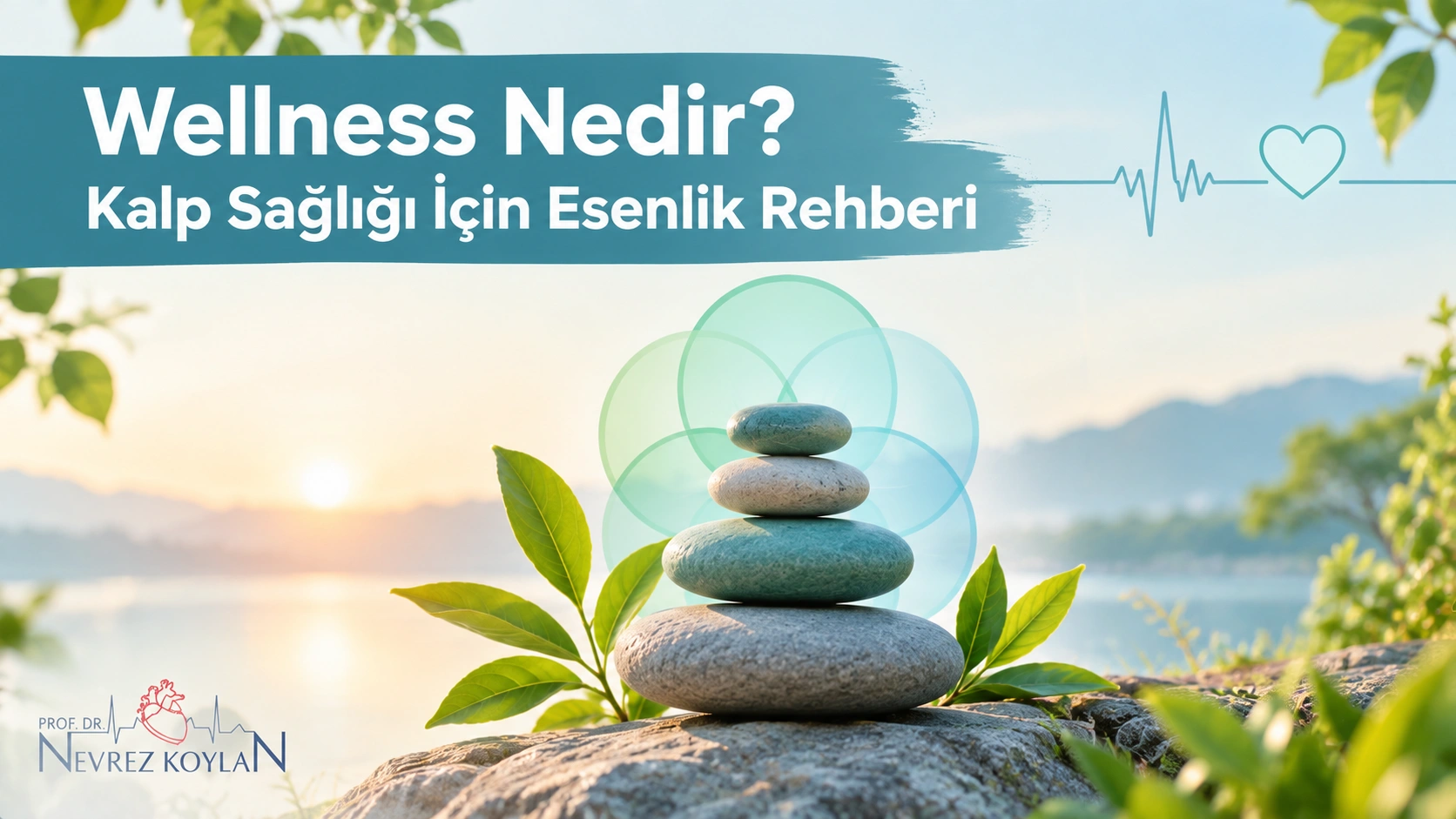 Wellness nedir ve kalp sağlığı ile ilişkisi — esenlik rehberi kapak görseli