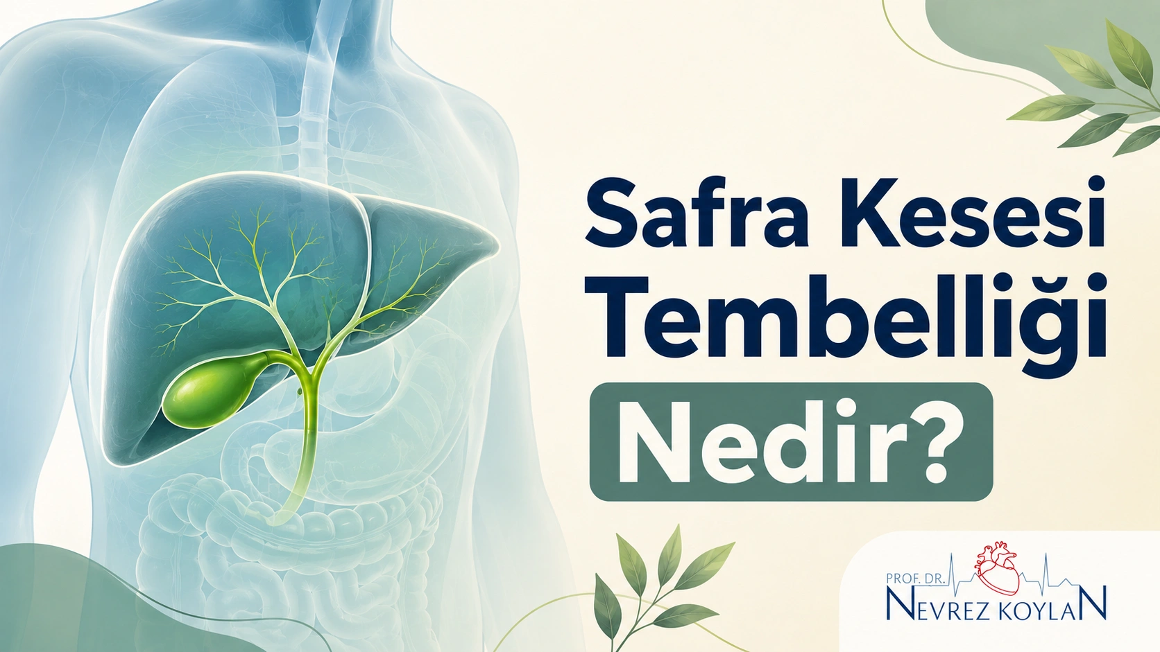 Safra kesesi tembelliği nedir - kapak görseli