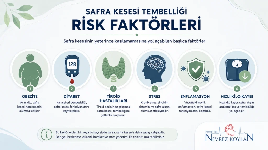 Safra kesesi tembelliği risk faktörleri infografiği