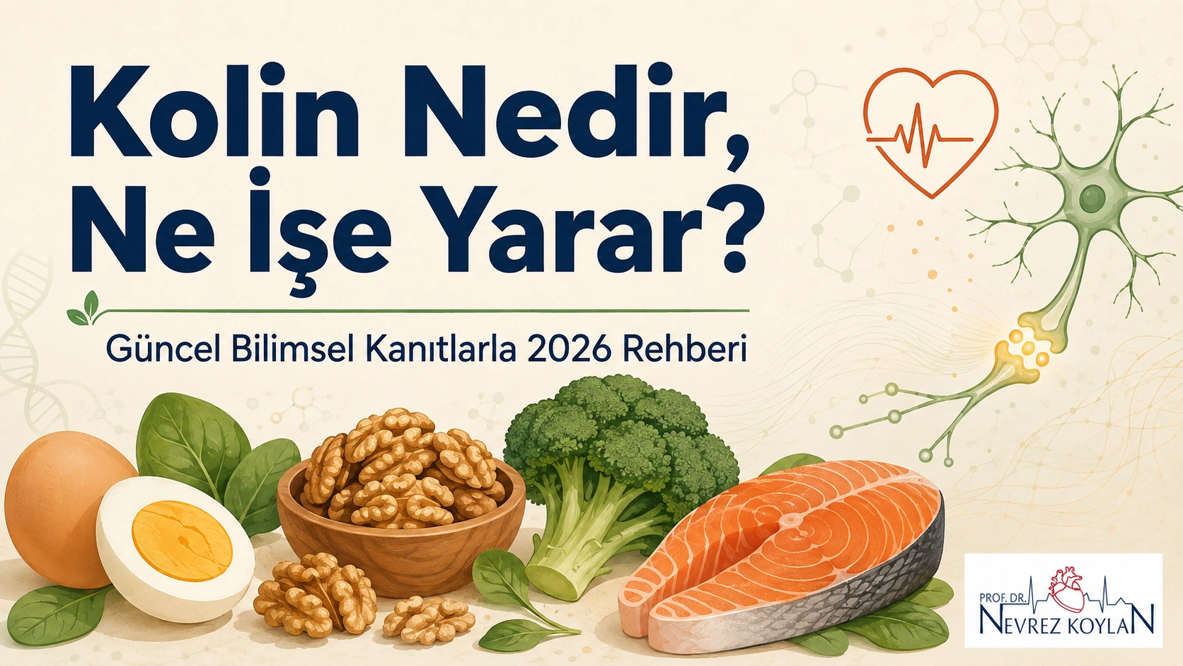 Kolin nedir ve ne işe yarar — kalp, karaciğer ve beyin sağlığı için besin kaynakları illüstrasyonu