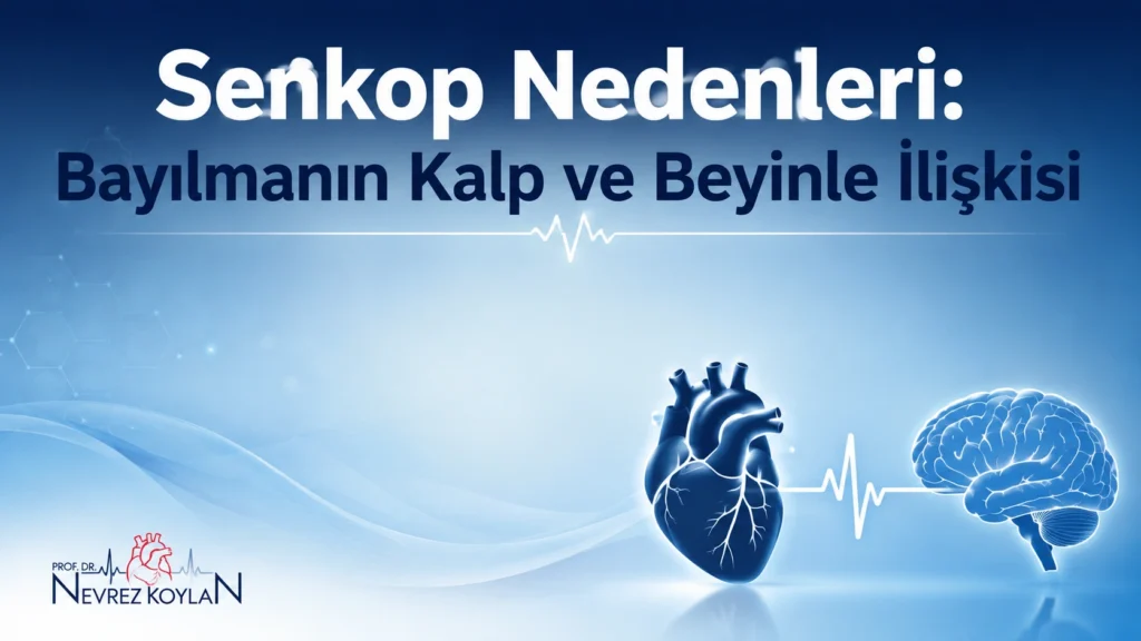 Senkop nedenleri – bayılma anında kalp ve beyin ilişkisini gösteren tıbbi kapak görseli
