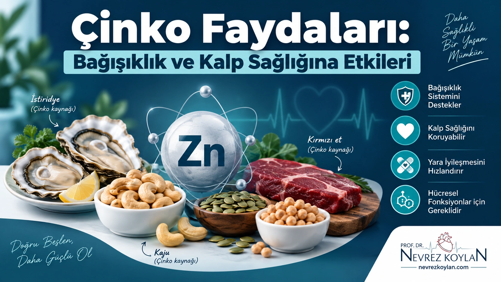 Çinko faydaları kapak görseli — bağışıklık ve kalp sağlığına etkileri, Prof. Dr. Nevrez Koylan