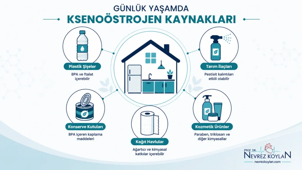 Ksenoöstrojen içeren günlük ürünler - plastik, kozmetik, tarım ilacı, kağıt ürünleri
