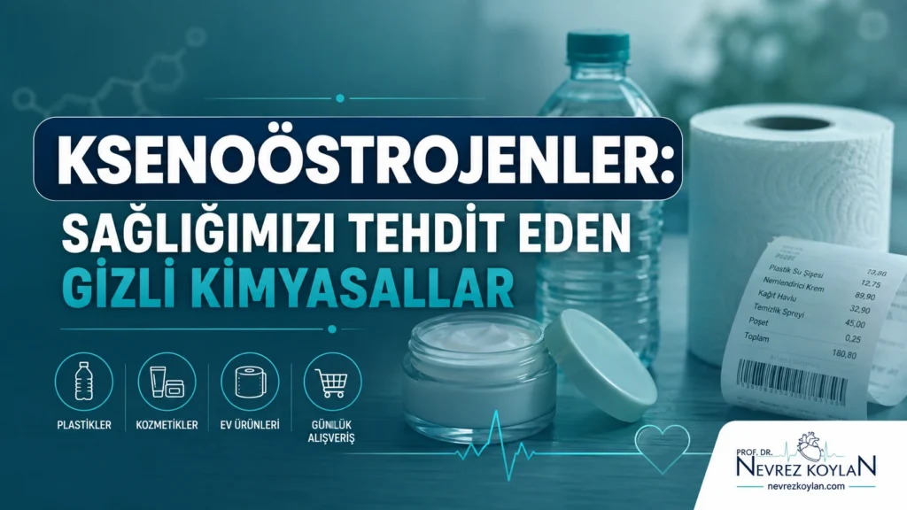 Ksenoöstrojenler sağlığımızı nasıl tehdit ediyor - kapak görseli