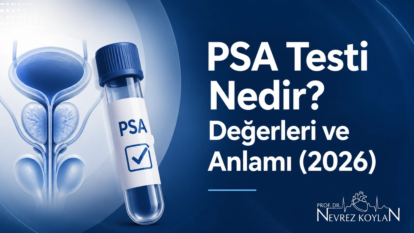 PSA testi nedir ve neyi gösterir - prostat kanseri erken tanı rehberi kapak görseli