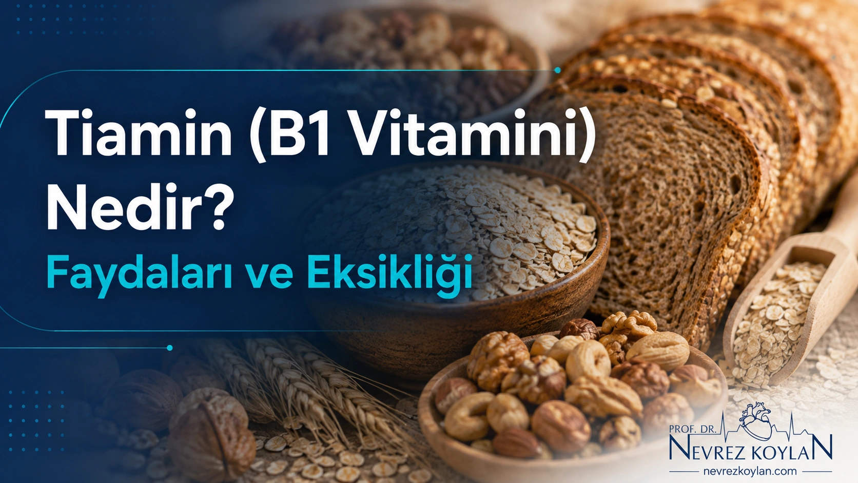 Tiamin B1 vitamini nedir kapak görseli - Prof. Dr. Nevrez Koylan