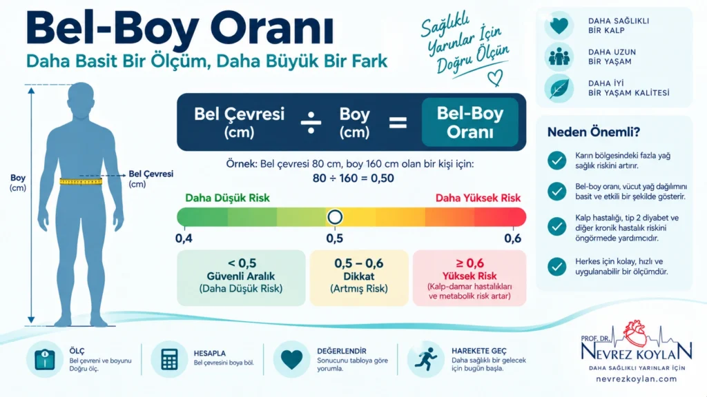 Bel boy orani hesaplama formülü ve kardiyovasküler risk kategorileri infografiği