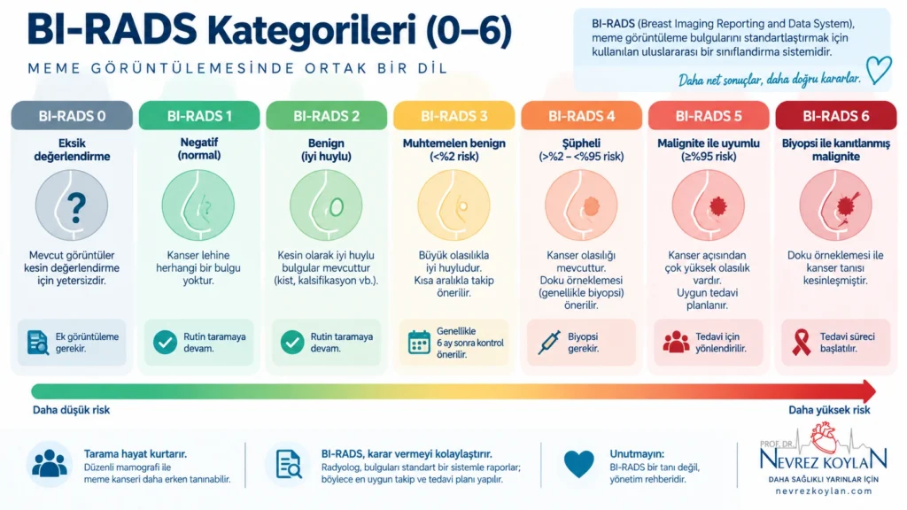 BIRADS 0-6 kategorilerini renk kodlarıyla gösteren meme görüntüleme sınıflandırma infografiği