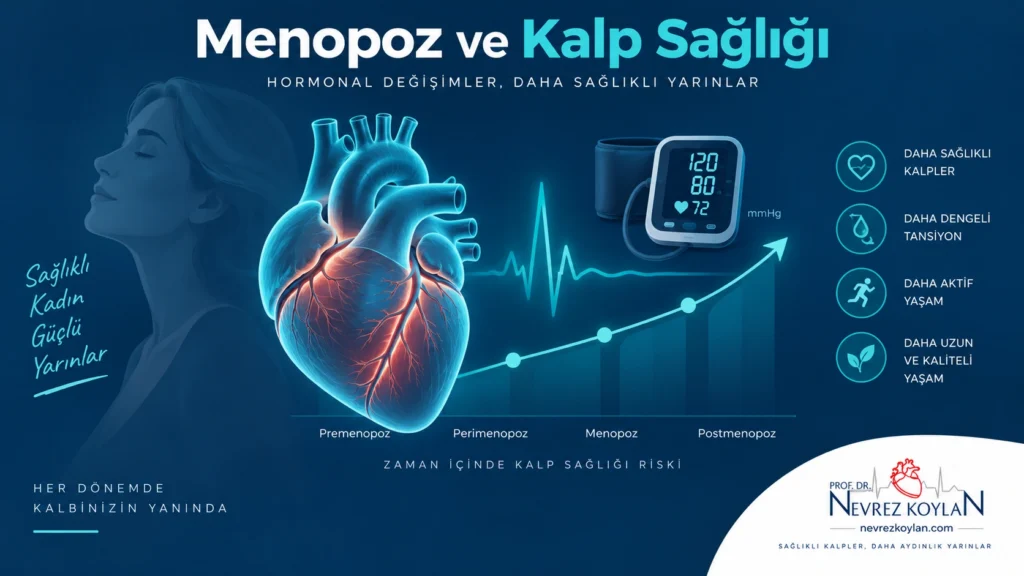 Menopoz döneminde kalp damar hastalığı riskini gösteren görsel