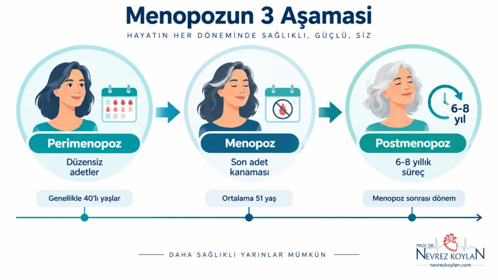 Menopozun üç evresi: perimenopoz, menopoz ve postmenopoz zaman çizelgesi
