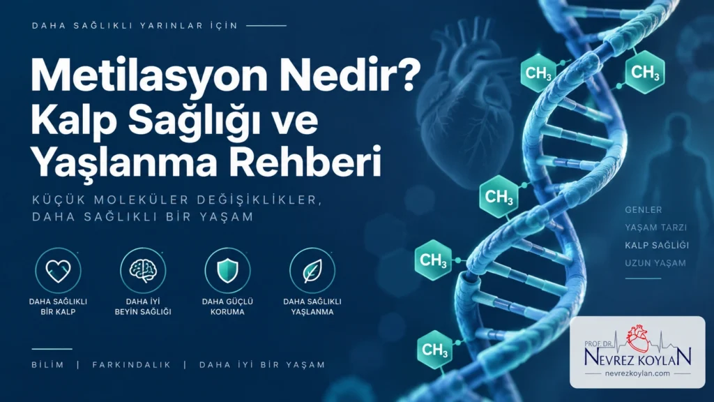 Metilasyon nedir kapak görseli - DNA metilasyonu ve kalp sağlığı