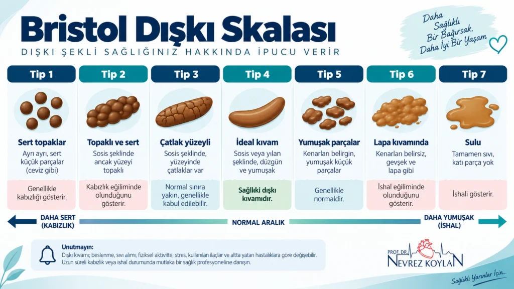 Bristol dışkı skalası 7 tip dışkı kıvamı